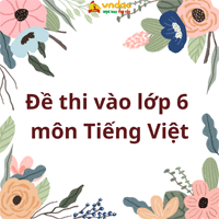 Đề thi thử vào lớp 6 môn Tiếng Việt năm 2025 - 2026 - Đề số 1