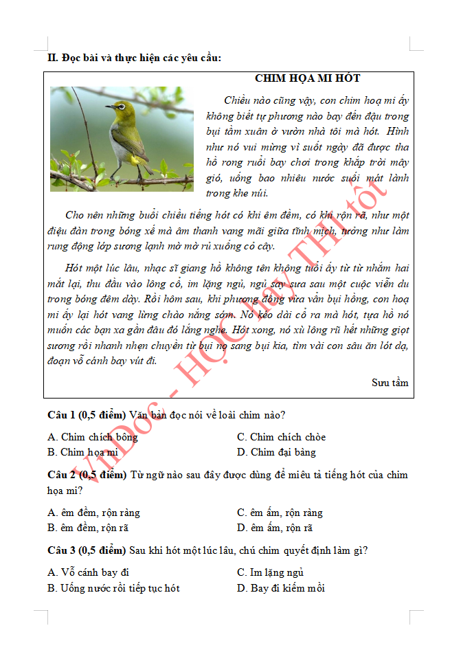 Đề ôn tập hè lớp 3 lên lớp 4 môn Tiếng Việt