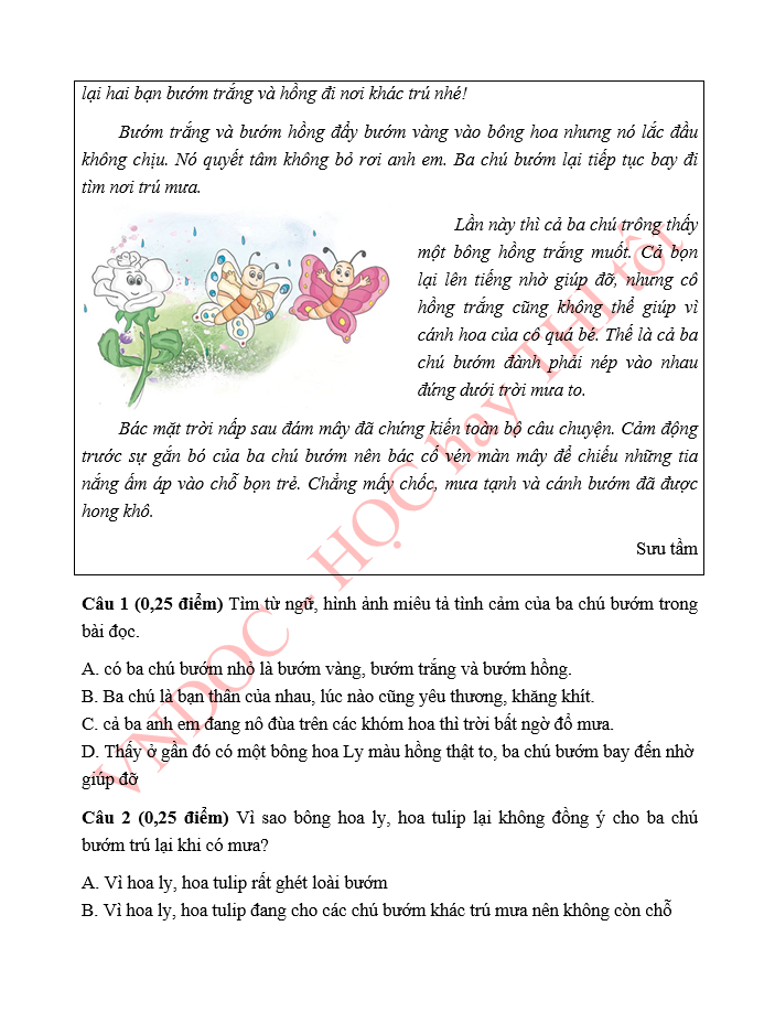 Bài tập ôn hè lớp 4 lên 5 môn Tiếng Việt