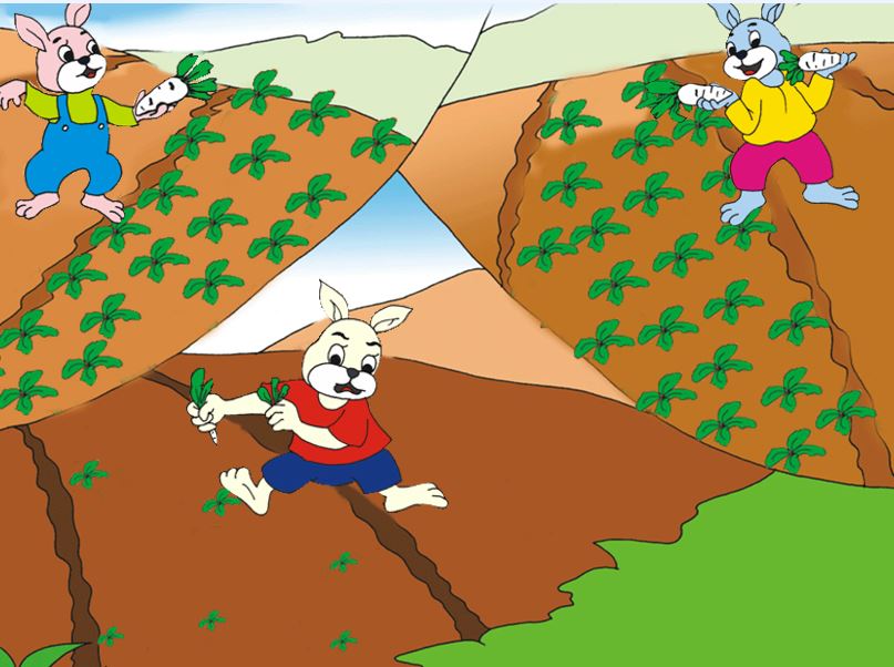 cay rau cai 4*716455