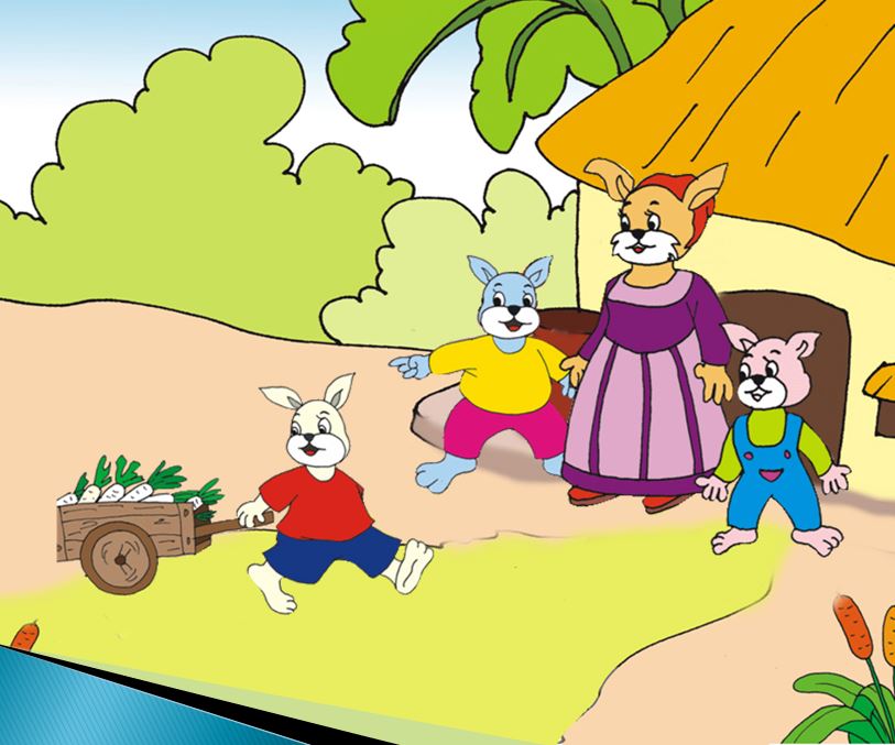 cay rau cai 5*716456