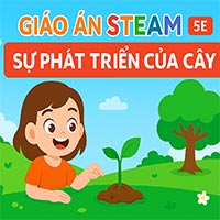 Giáo án: Sự phát triển của cây