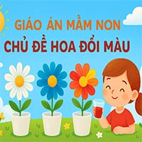 Giáo án: Hoa đổi màu