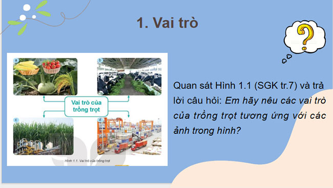  Giới thiệu về trồng trọt