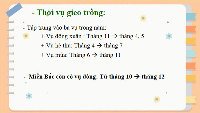 PowerPoint Công nghệ 7 KNTT