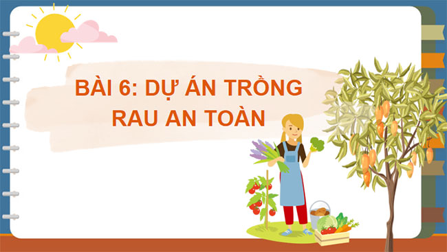 Dự án trồng rau an toàn