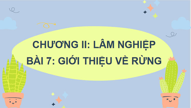 Giới thiệu về rừng