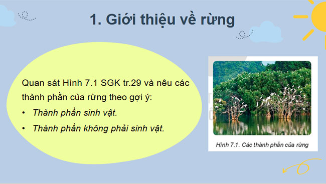 Giới thiệu về rừng