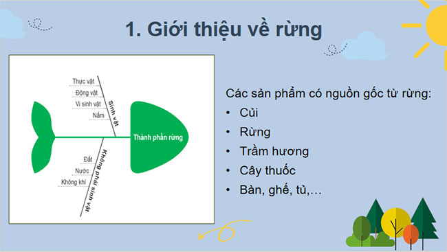 Giới thiệu về rừng