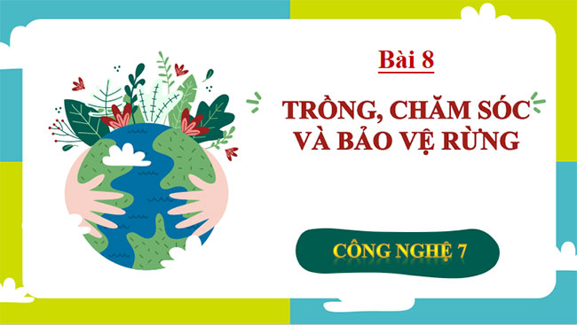 Trồng chăm sóc và bảo vệ rừng