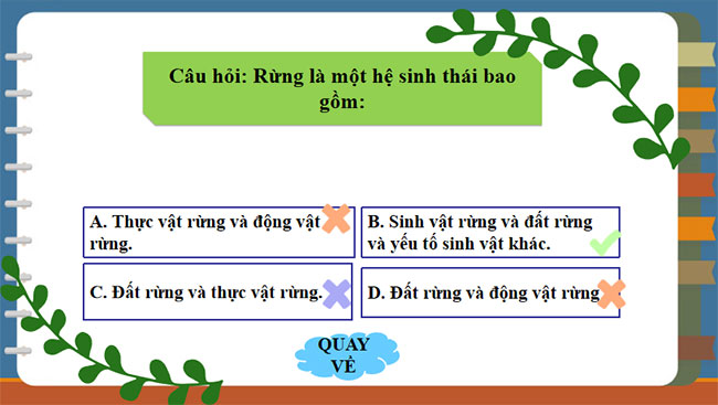 Công nghệ 7 Ôn tập chương 2