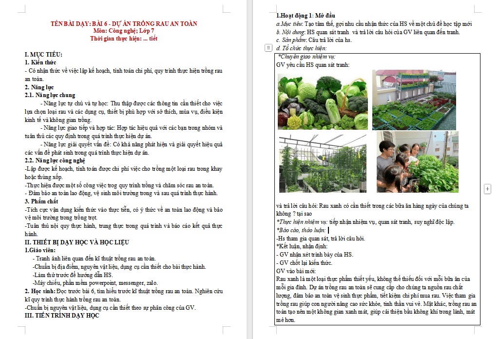 Dự án trồng rau an toàn