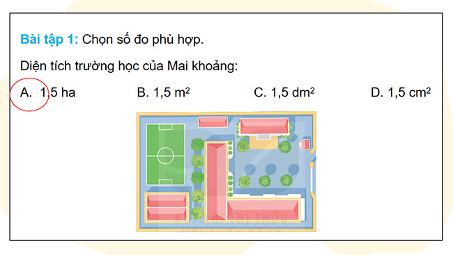 PowerPoint Toán 5 Luyện tập chung