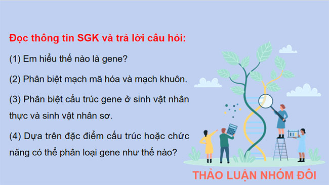 Giáo án PowerPoint Sinh học 12 Bài 2