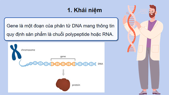 Giáo án PowerPoint Sinh học 12 Bài 2
