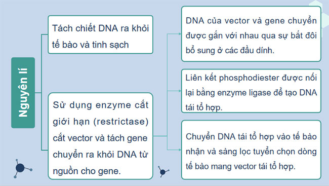 Công nghệ di truyền