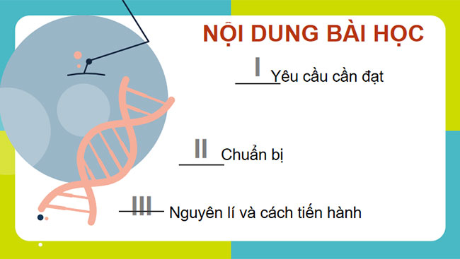 Thực hành Tách chiết DNA