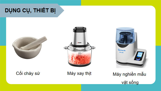 Thực hành Tách chiết DNA