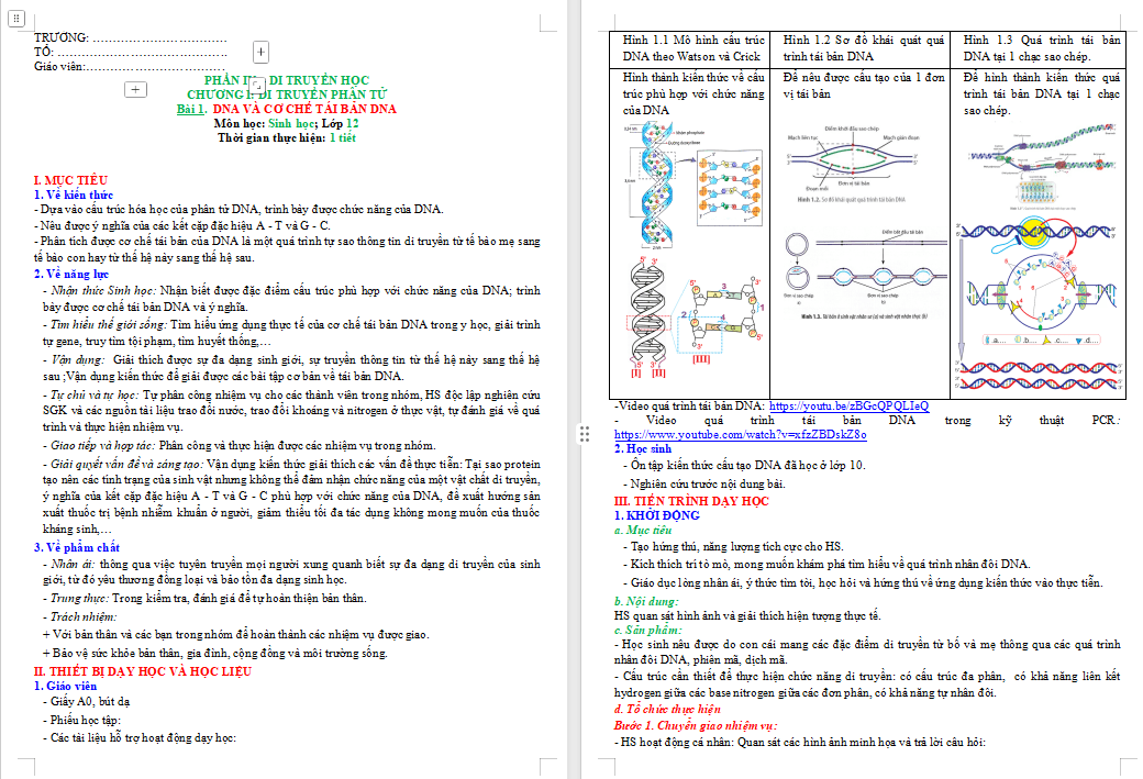 DNA và cơ chế tái bản DNA