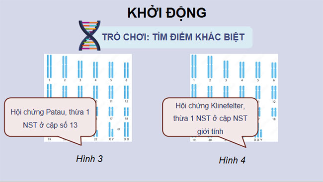 Đột biến nhiễm sắc thể