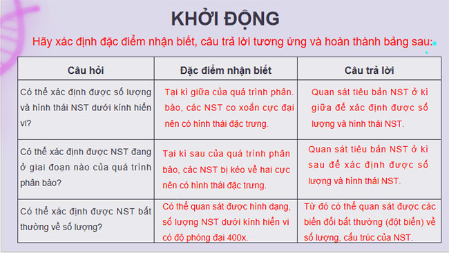 Thực hành Quan sát một số dạng đột biến nhiễm sắc thể