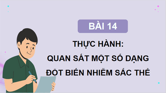 Thực hành Quan sát một số dạng đột biến nhiễm sắc thể