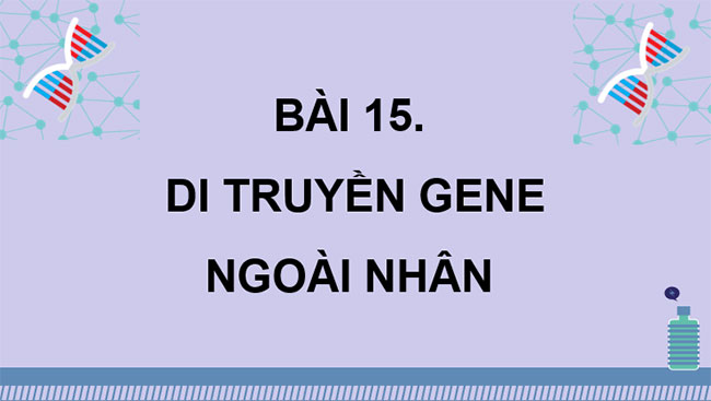 Cấu trúc và chức năng của nhiễm sắc thể
