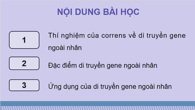 Cấu trúc và chức năng của nhiễm sắc thể