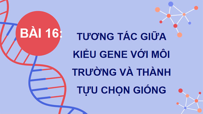 Giáo án PowerPoint Sinh học 12 Bài 16