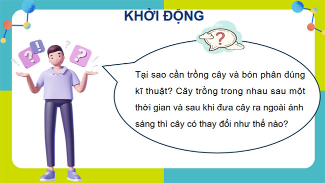 PowerPoint Sinh học 12 Bài 17