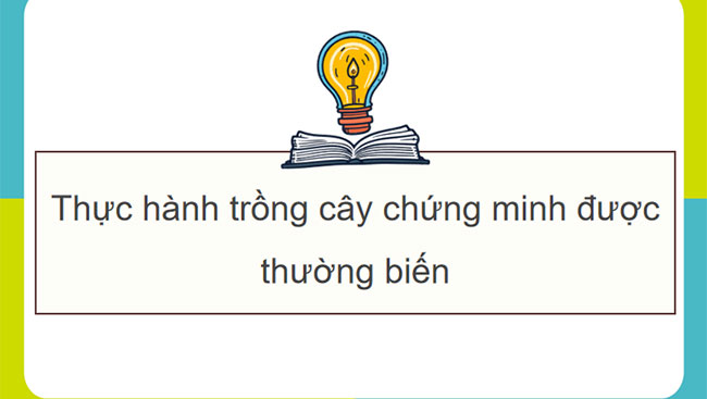PowerPoint Sinh học 12 Bài 17