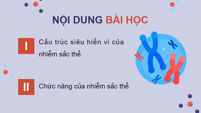 Cấu trúc và chức năng của nhiễm sắc thể