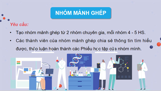 Cấu trúc và chức năng của nhiễm sắc thể