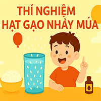 Giáo án: Thí nghiệm hạt gạo nhảy múa