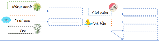 Tiếng Việt 4 CTST
