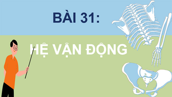 PowerPoint KHTN 8 Bài 31 KNTT