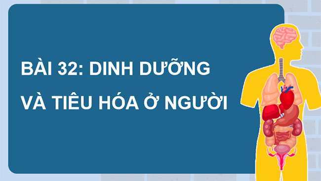 PowerPoint KHTN 8 Bài 32 KNTT