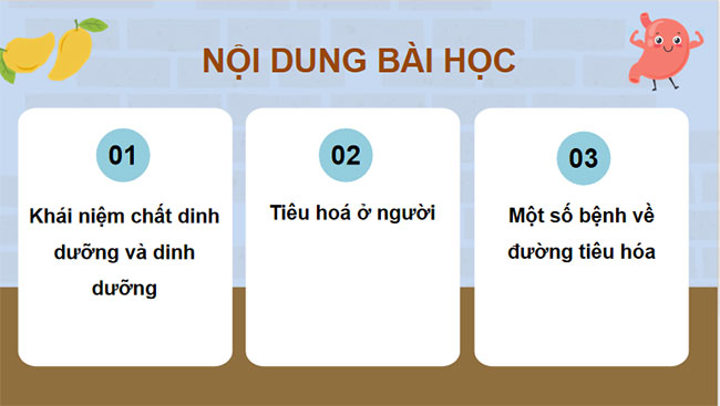 PowerPoint KHTN 8 Bài 32 KNTT