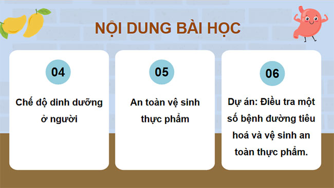 PowerPoint KHTN 8 Bài 32 KNTT