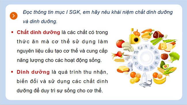 PowerPoint KHTN 8 Bài 32 KNTT