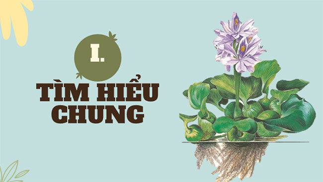  Mùa xuân nho nhỏ