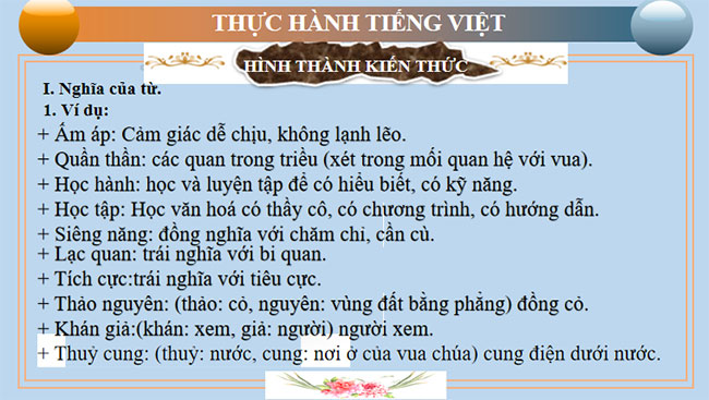 Thực hành tiếng Việt trang 47