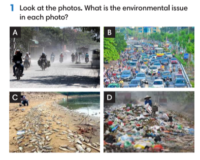 Tiếng Anh 9 English Discovery Unit 2 2.4 Grammar minh họa 1