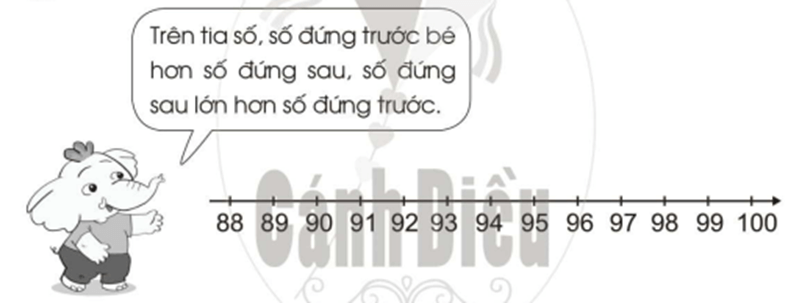 Vở bài tập Toán lớp 2 Cánh diều Bài 3: Tia số. Số liền trước – số liền sau (trang 8)