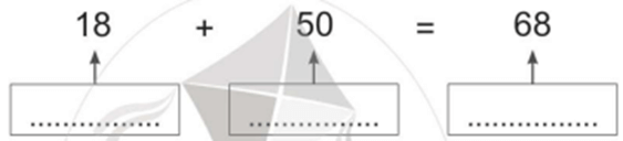 Vở bài tập Toán lớp 2 Cánh diều Bài 5: Số hạng - tổng (trang 12)