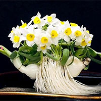 Giáo án Ngữ văn 7 Bài 9: Thuỷ tiên tháng Một