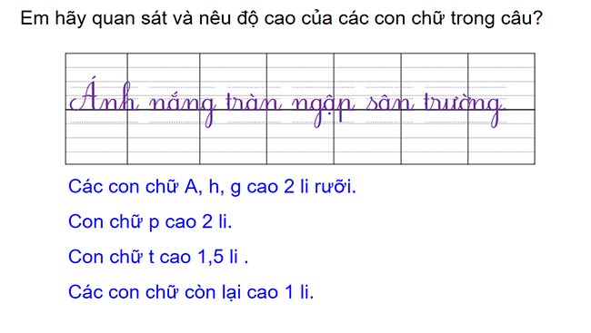 PowerPoint Tiếng Việt 2 Chữ hoa A