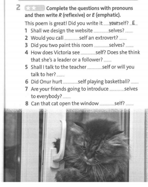 Friends Plus 9 Workbook giải Unit 6 Language Focus trang 39 minh họa 2