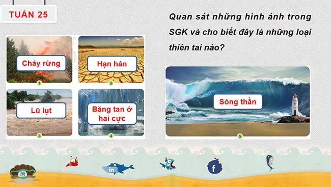 PowerPoint Hoạt động trải nghiệm 6: Thách thức của thiên nhiên