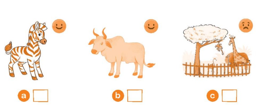 Sách bài tập Tiếng Anh lớp 2 Unit 10 At the zoo